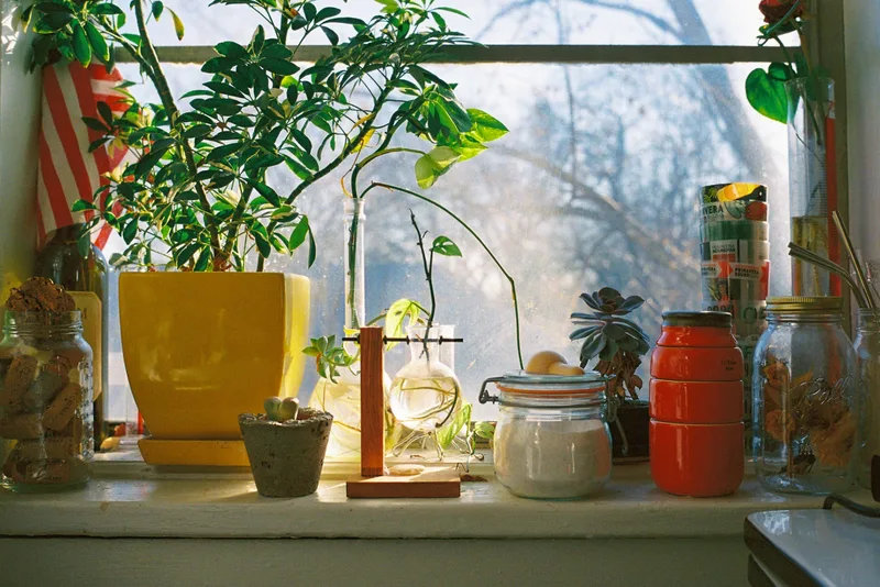 The Kitchen Window shot on Kodak Portra 400 with a Leica M7, developed at The FotoShoppe, by Cory
