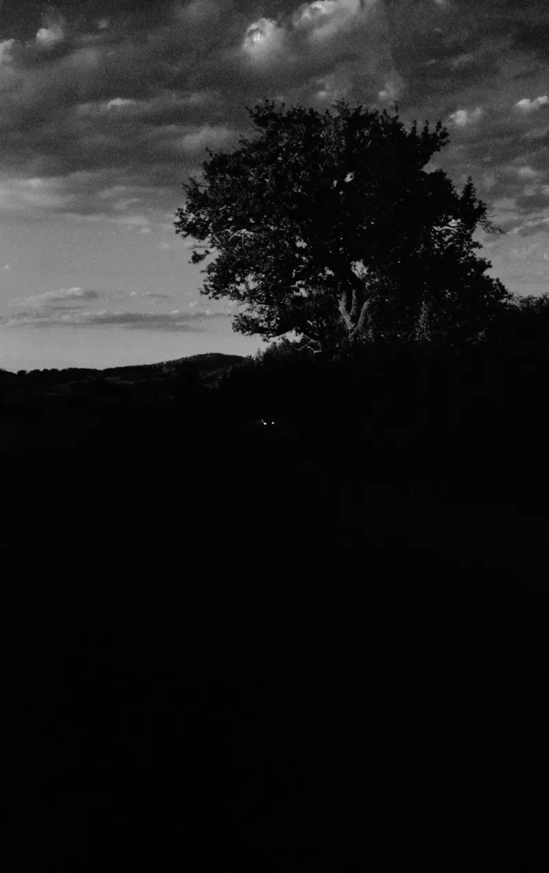 Headlight shot on Nation Photo Nation Photo 400 with a Ricoh 500GX, developed at Home / Self-Developed, by Ambroise