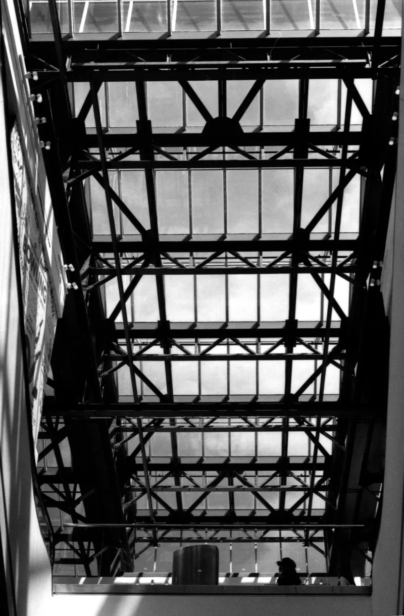 Film photo shot on Ilford FP4 Plus 125 with a Pentax Program Plus, developed at Home / Self-Developed, by Murry Shotwell
