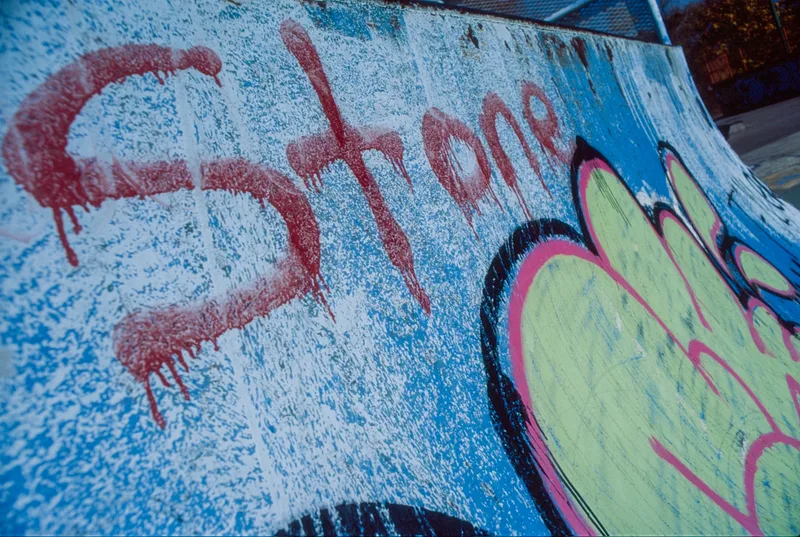 STONE shot on Kodak Ektachrome E100 with a Pentax ME Super, developed at Brooktree Film Lab, by Carlyle
