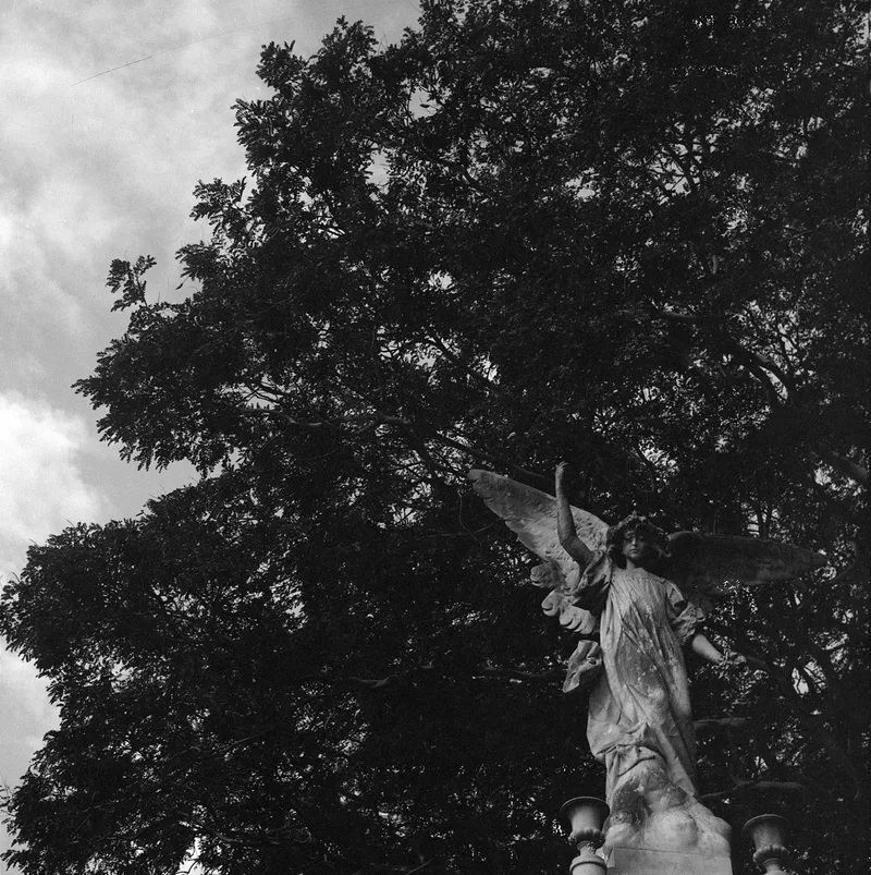 anjo shot on Efke efke 127mm with a Rolleiflex Baby 4x4, developed at SpeedLab, by jr bresolin