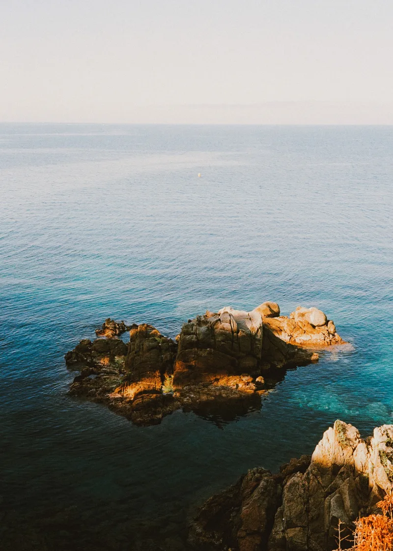 Film photo shot on Kodak ColorPlus 200 with a Rollei 35S, developed at Carmencita, by Jordi Sales
