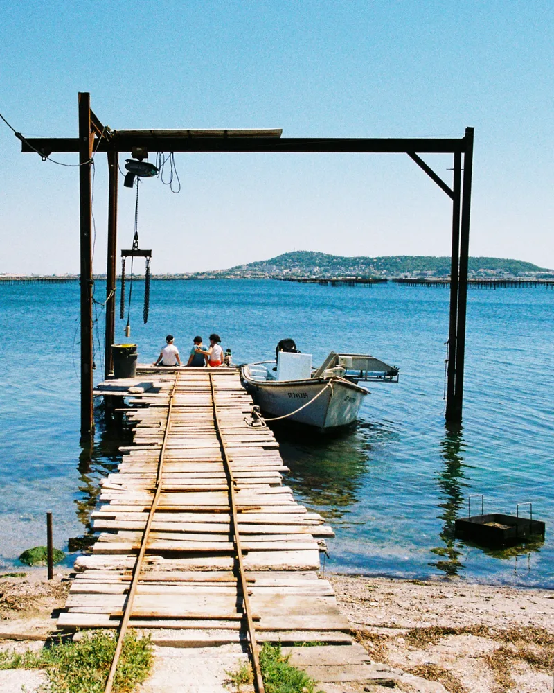 By The Lagoon shot on Kodak ColorPlus 200 with a Canon AV-1, developed at A&M Imaging, by Scott Liddell