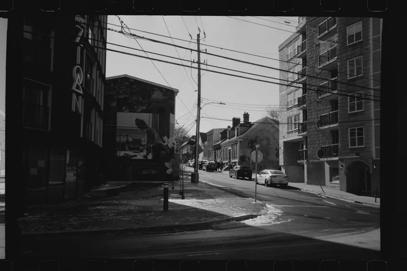 around the way shot on Kodak 400TX with a Agfa Optima 1035 Sensor, by Emily