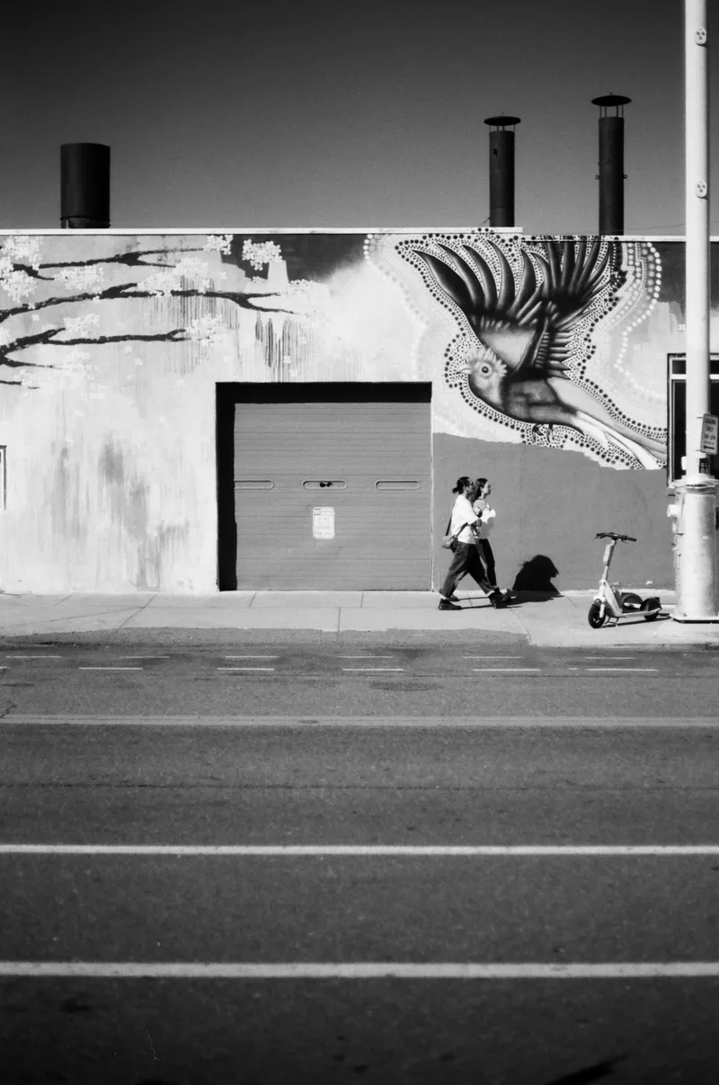 Warm Winter in the High Desert shot on Lomography Earl Grey 100 with a Canon AE-1, developed at The DarkRoom, by ari.captures.photos