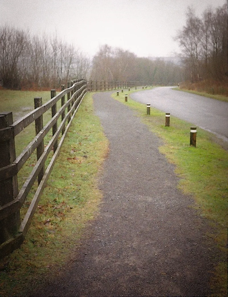 Path Forward shot on Kodak ColorPlus 200 with a pentax 17, developed at Max Speilmann, by Nigel Owen