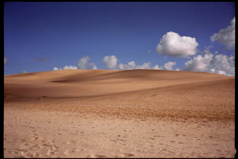 Dunas de Valizas shot on Kodak Ektar 100 with a Fuji GW690II, developed at Fotototal, by Nando.Uruguay