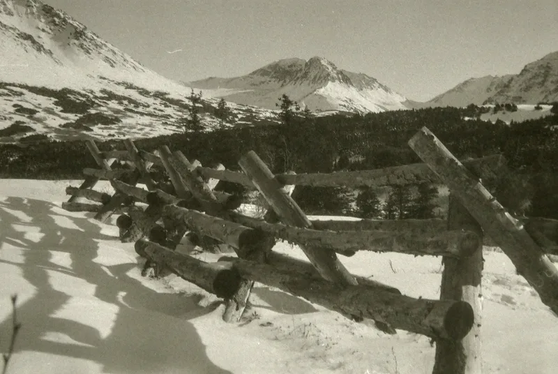 Film photo shot on Flic Film UltraPan 400 with a Kodak Retina, developed at Home / Self-Developed, by Truckinwagen