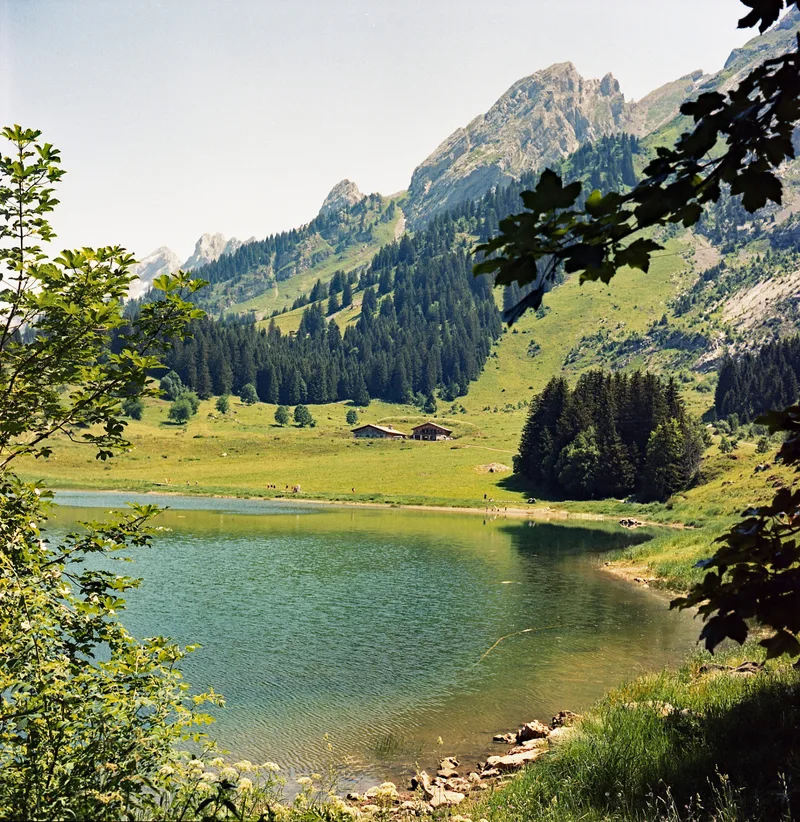 Les Confins 74 shot on Cinestill 400D with a Rolleiflex T, developed at Home / Self-Developed, by MARCO PHOTOS