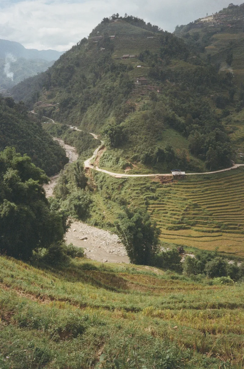 Rice fields in Sapa shot on Kodak Gold 200 with a Olympus Mju-1, developed at Blaze Image, by Tim