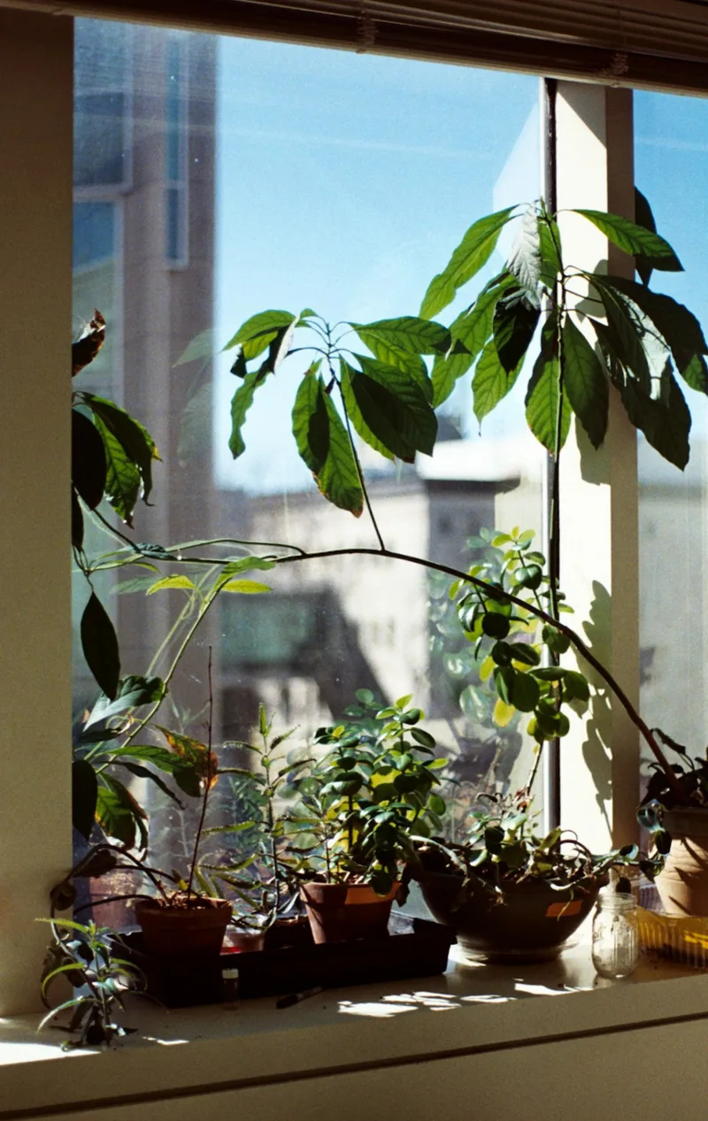 Office Friends shot on Fujifilm 400 with a Chinon CE-4, developed at Dos Fotos, by WiresinaBox
