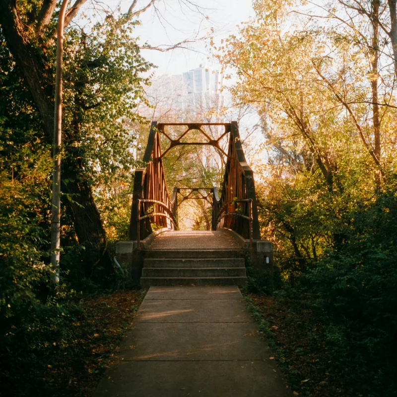 Pathway shot on Harman Phoenix with a Minolta Autocord, developed at Schiller's Camera, by Kathryn