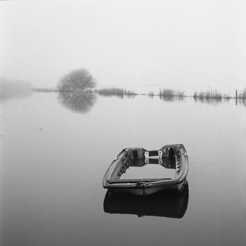 White Marsh shot on Ilford Kentmere Pan 400 with a Hasselblad 500C/M, by Clément Rabec