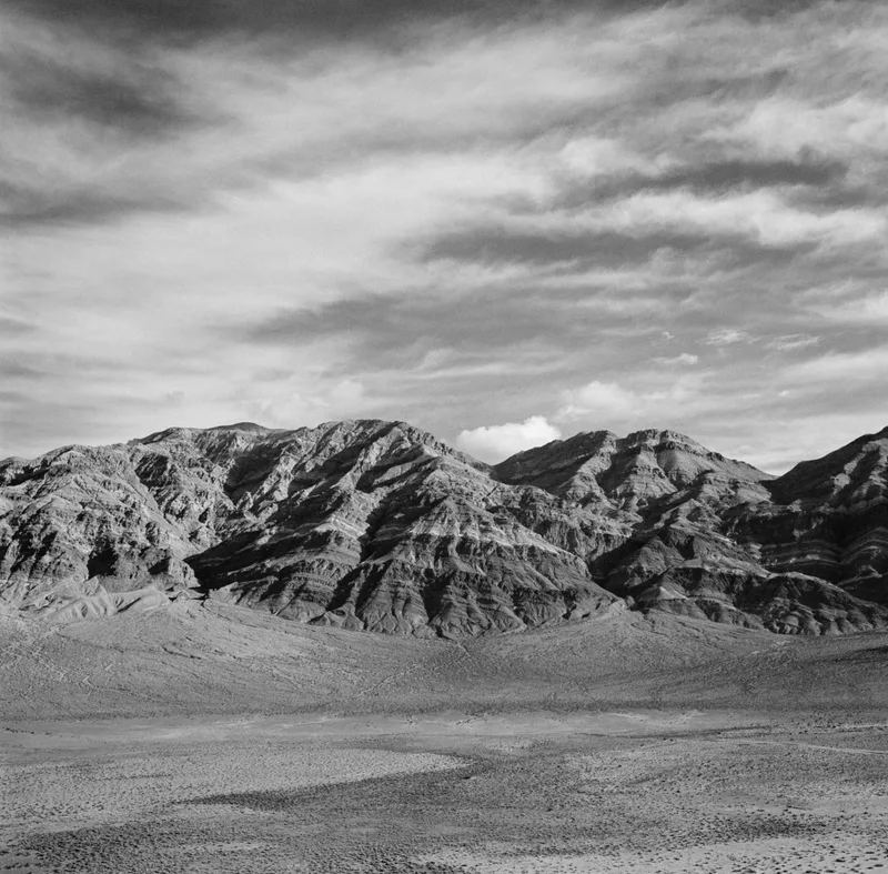 Midday Desert shot on Kodak Tri-X 400 with a Yashica Mat 124G, developed at LA Film Lab, by Kyle