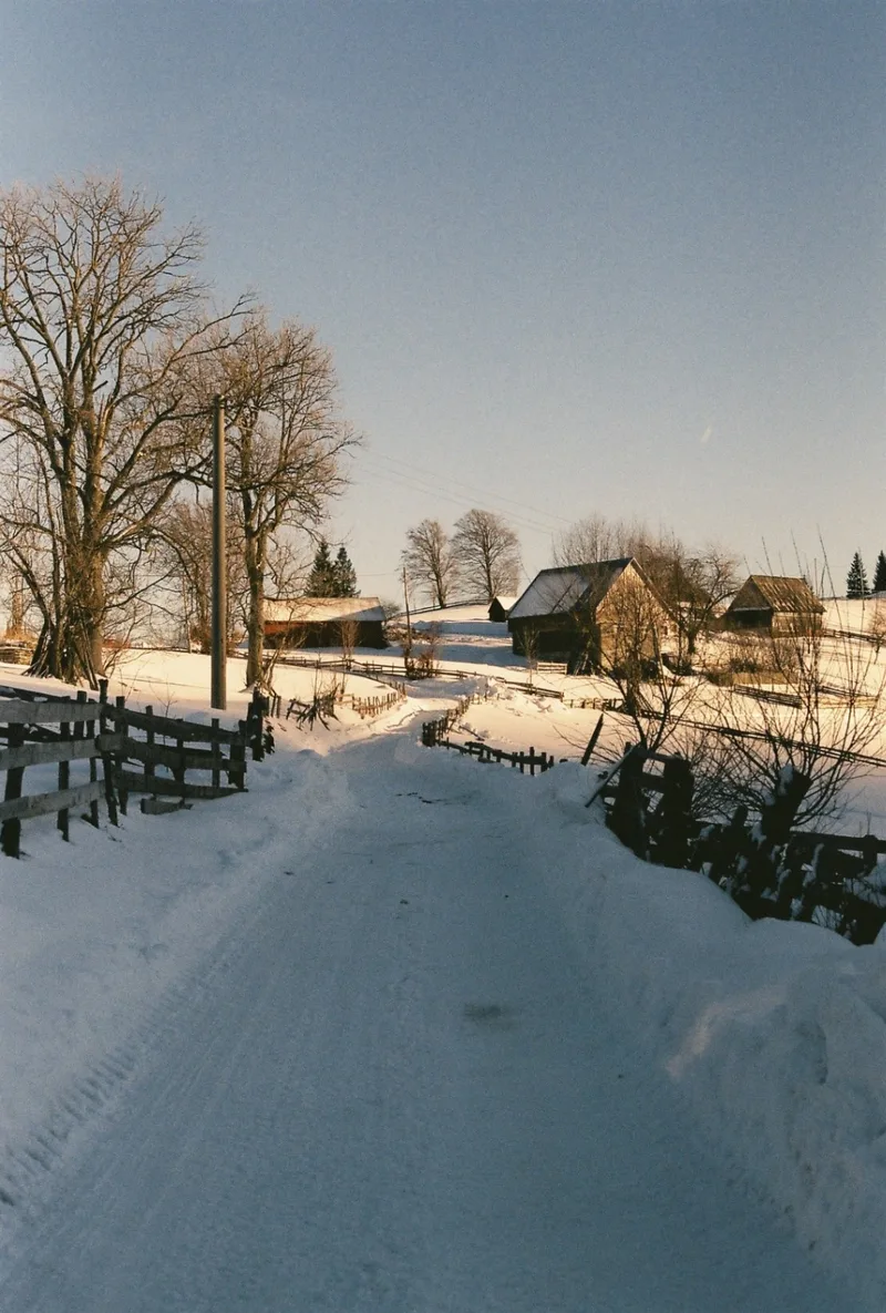 Film photo shot on Fujifilm FujiColor C200 with a Canon EOS 1000FN, by Oriana