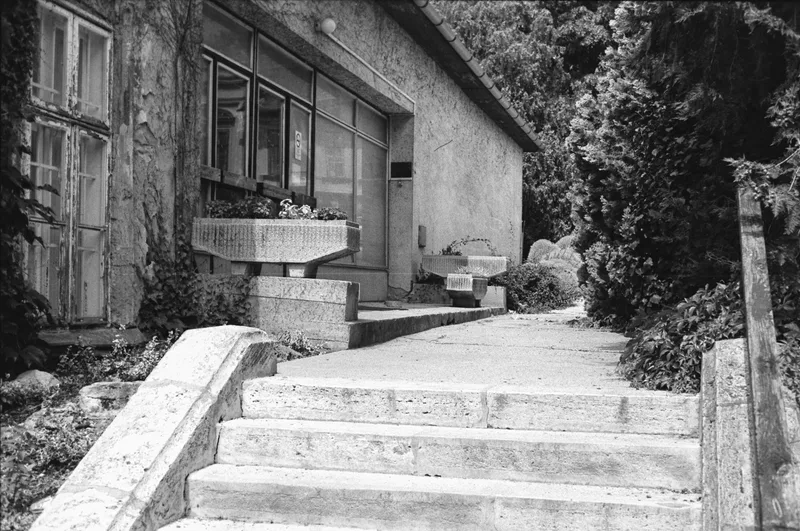 Film photo shot on Orwo Wolfen NP100 with a Minolta X-500, developed at Home / Self-Developed, by Endre