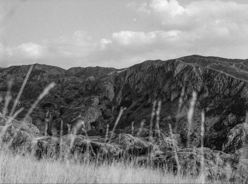 Film photo shot on Kodak Tri-X 400 with a Mamiya M645 1000s, developed at Home / Self-Developed, by pavle