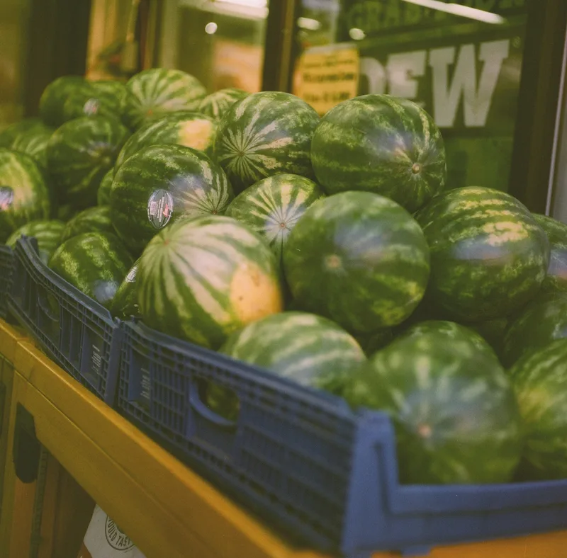 Watermelons, Man shot on Harman Harman Phoenix II with a Mamiya C33, developed at Hunt’s Photo & Video, by erflink