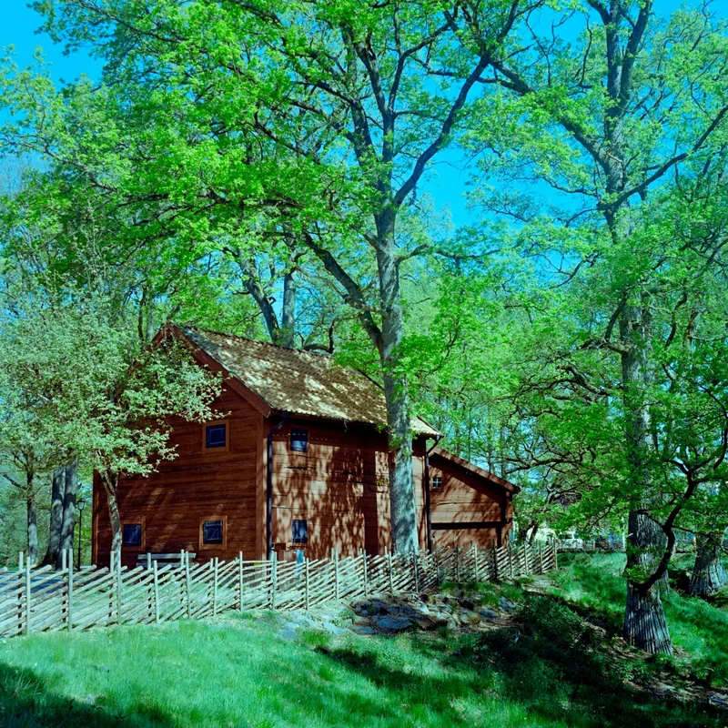 Early Summer Greens in Apladalen shot on Kodak Gold 200 with a Ricoh Diacord TLR, developed at Home / Self-Developed, by lillepv