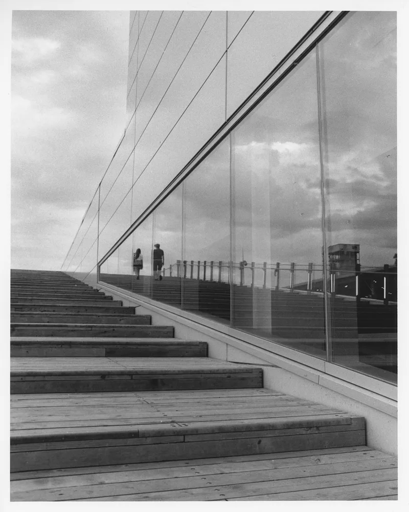 Towards the end shot on Ilford Delta 400 with a Nikon F80, developed at Home / Self-Developed, by Luc Béliveau