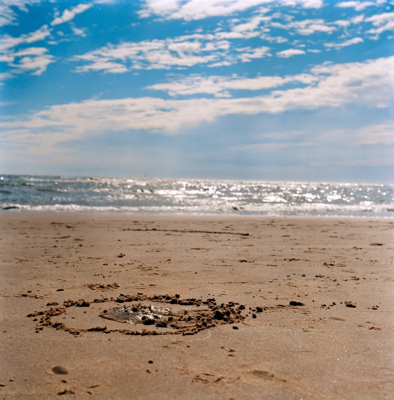 Washed up Jellyfish shot on Kodak Gold 200 with a Seagull 4A, developed at Foto Verweij, by Sander