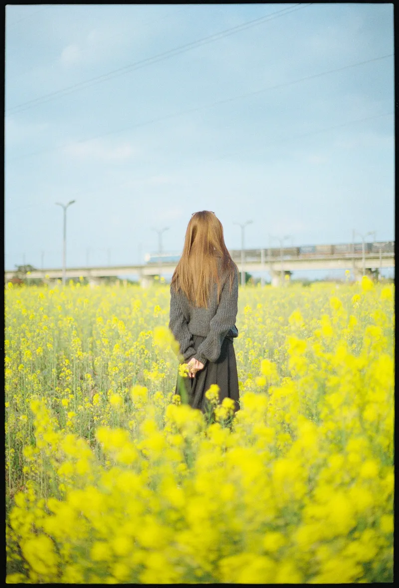 Youthful Gazing: March in Chengdu, Flowery Sea & Freight Train shot on Kodak Gold 200 with a Minotla α-7, developed at Home / Self-Developed, by Blaze_BIG