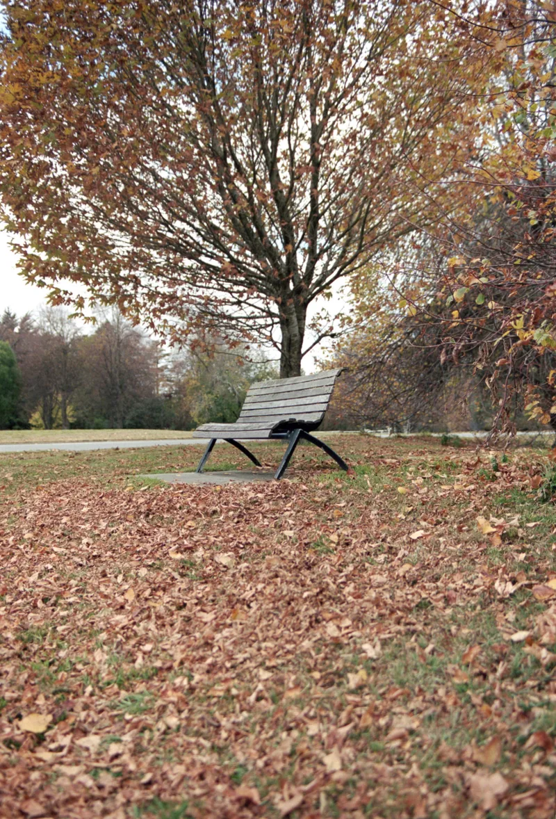 lonely bench shot on Kodak Portra 400 with a Pentax MZ-S, developed at Home / Self-Developed, by ap4y