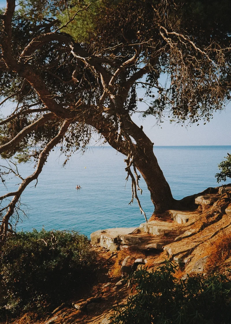 Film photo shot on Kodak ColorPlus 200 with a Rollei 35S, developed at Carmencita, by Jordi Sales