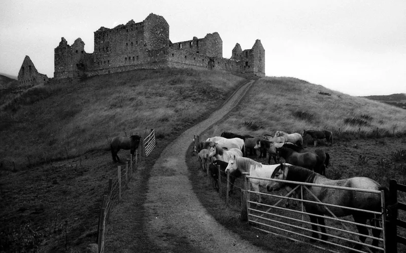 Ruthven shot on Kosmo Foto Mono 100 with a Nikon F Photomic, developed at Filmprocessing.co.uk, by Matt