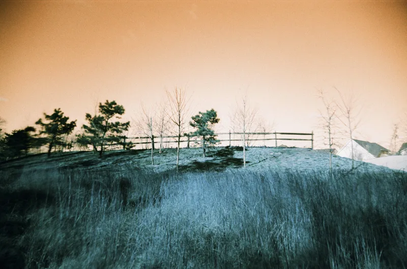 Film photo shot on Lomography LomoChrome Turquoise 100 with a Lomo Apparat, developed at Reformed Film Lab, by parker