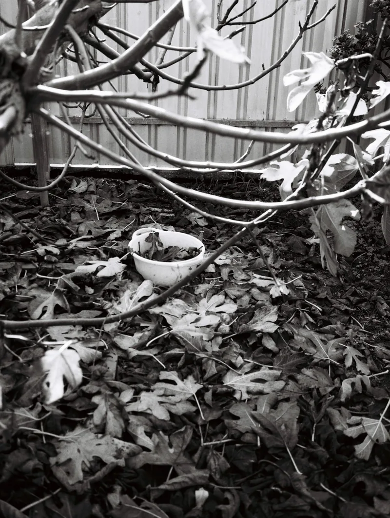 Film photo shot on Ilford Kentmere Pan 100 with a Fujifilm GS646S, developed at PhotoCo Camerahouse, by bri_er_ley