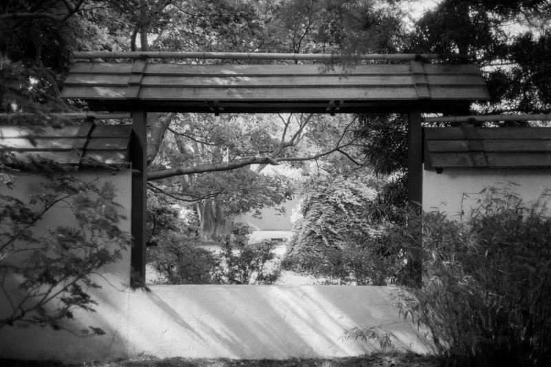A Glimpse shot on Ilford FP4 Plus 125 with a Olympus 35RC, developed at Southeastern Camera Carrboro, by Hunter