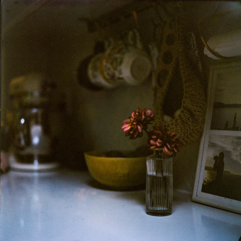 Last flowers shot on Kodak Portra 400 with a Hasselblad 500C/M, developed at Malvarrosa Film Lab, by Lucre
