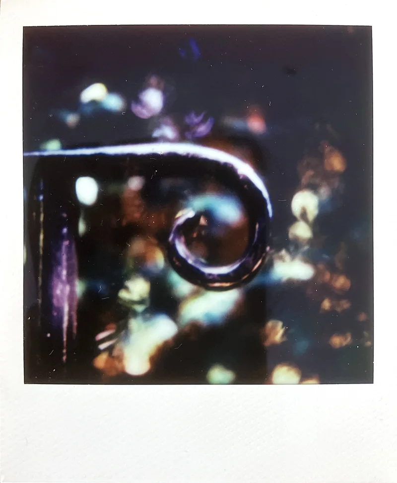 Railings II shot on Polaroid 600 with a Polaroid SX-70 Alpha 1 Model 2, developed at Instant Film, by MelvynJ